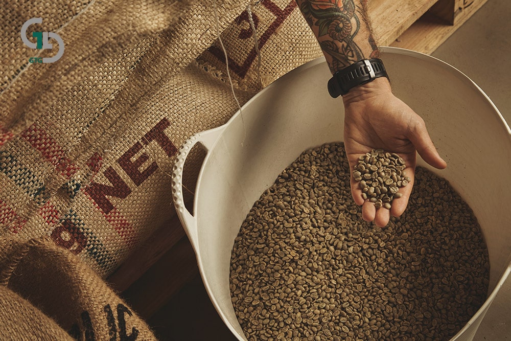 tattooed barista hand holds raw green coffee beans from white plastic basket cotton bags europalet warehouse min