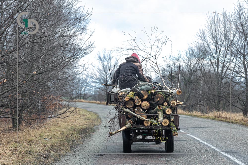 cart with tree logs rural landscape back view