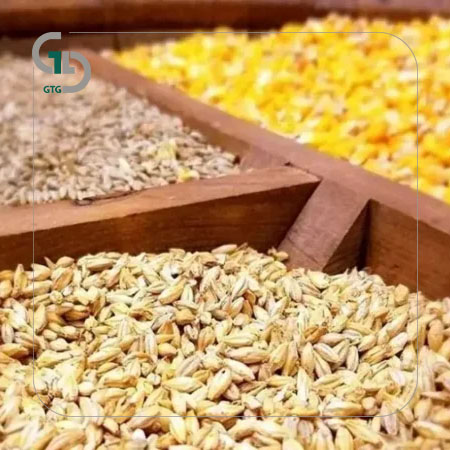 نهاده های دامی